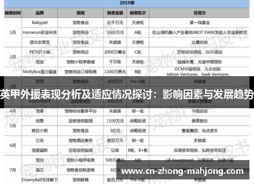 英甲外援表现分析及适应情况探讨：影响因素与发展趋势