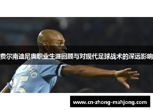 费尔南迪尼奥职业生涯回顾与对现代足球战术的深远影响