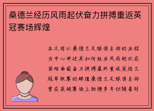 桑德兰经历风雨起伏奋力拼搏重返英冠赛场辉煌